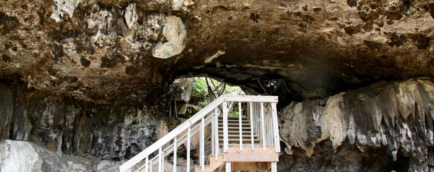 The Bat's Cave