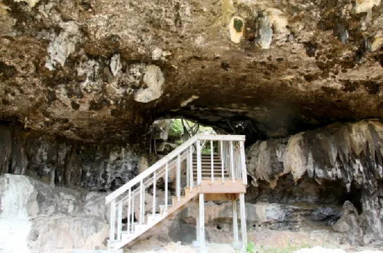 The Bat's Cave