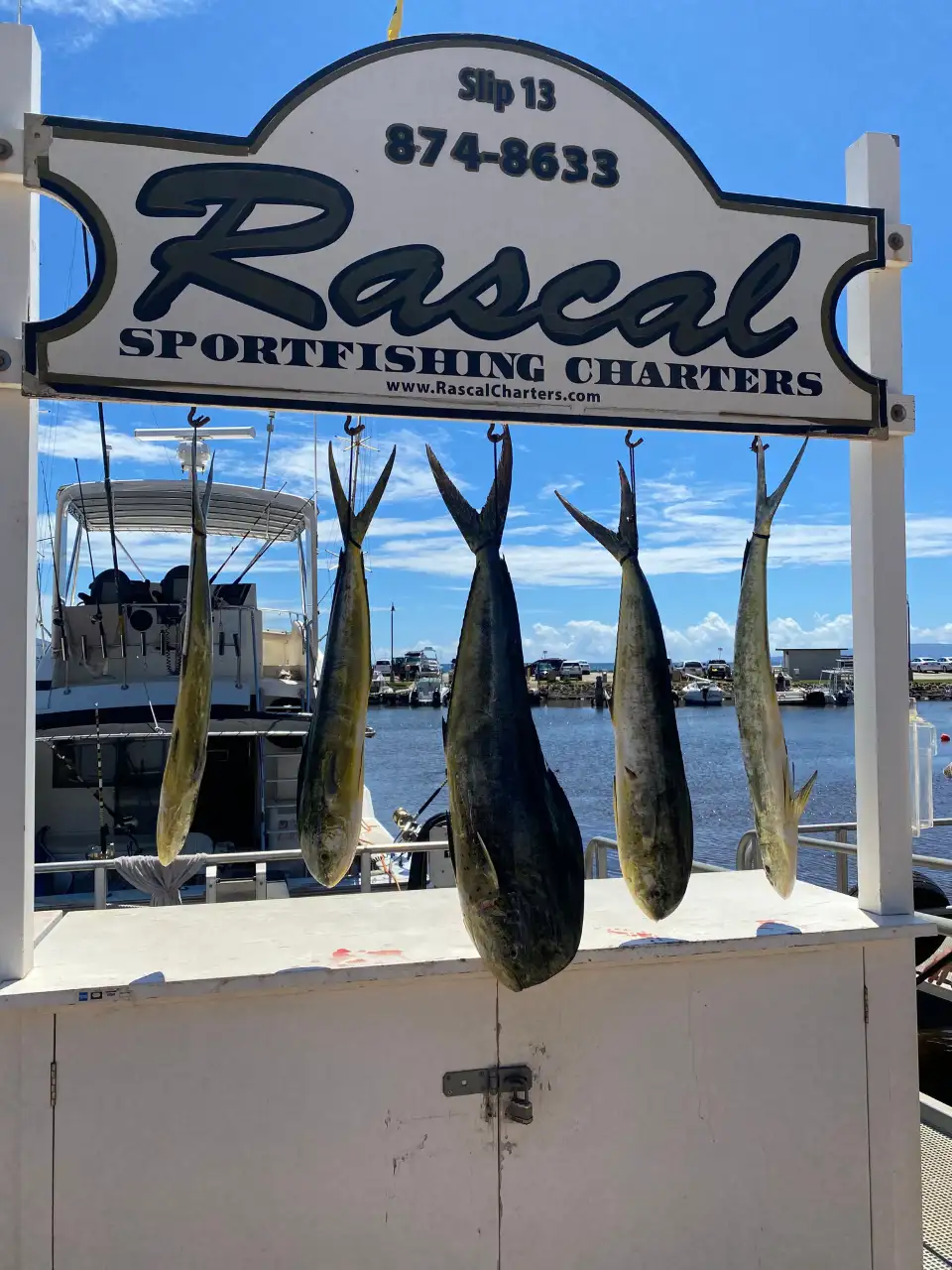 5_Rascal Charters