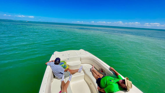 Island Time Dolphin & Shelling Cruises