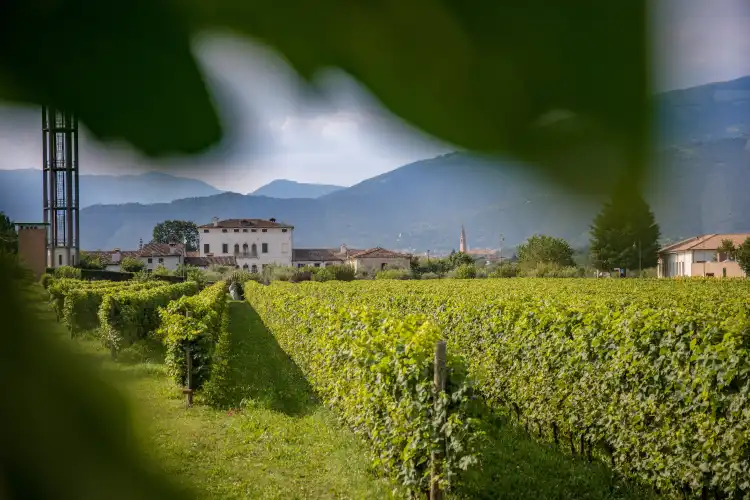Hotels in Pederobba