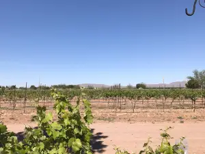 Sombra Antigua Vineyard and Winery