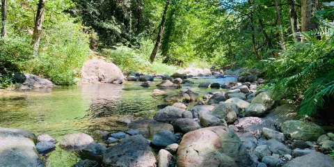 Riserva Naturale Regionale delle Valli Cupe