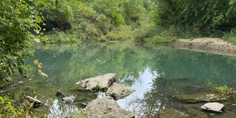 Two Creeks Conservation Area