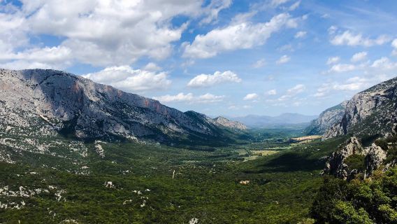 Tiscali