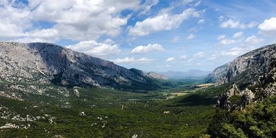 Tiscali