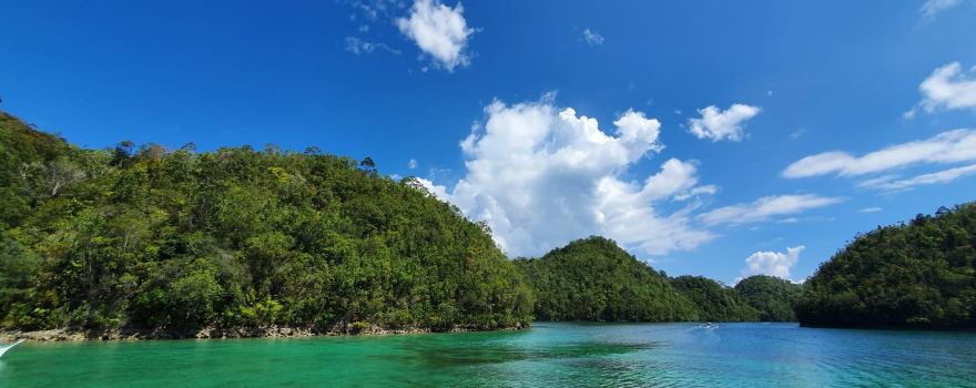 Surigao du Nord