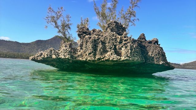 Paradisio Excursions Ile Maurice
