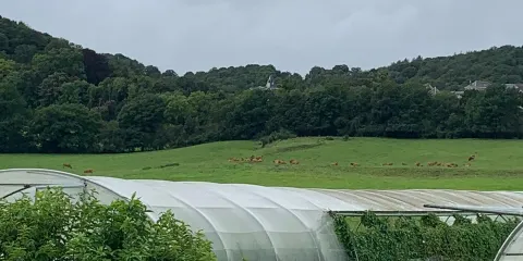 Escargotière de Warnant