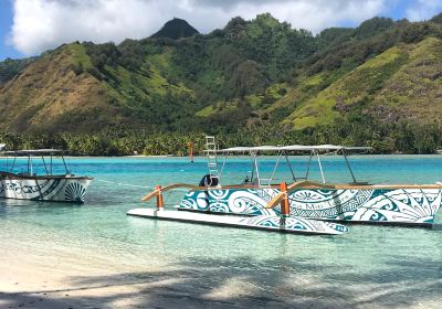 Moorea Miti Tours