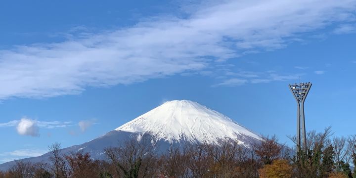 Ashigara Service Area Upline