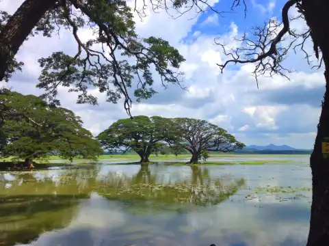 蒂瑟默哈拉默湖附近的飯店