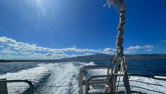 Island View Hawaii
