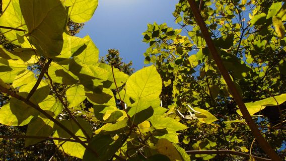 Parque Zoologico Prudencio Navarro
