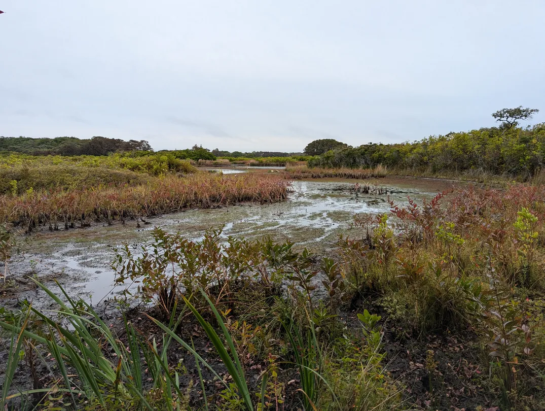 4_Nantucket Walkabout