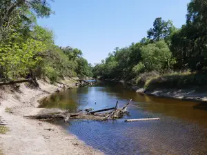 Little Big Econ State Forest