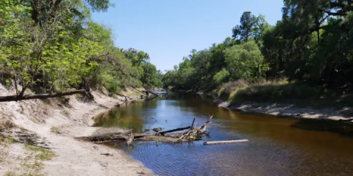 Little Big Econ State Forest