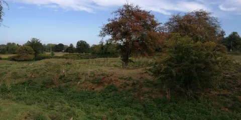 Barton Seagrave Castle