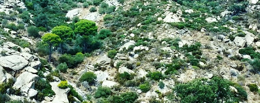 Palau-saverdera