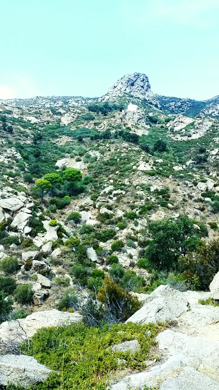 فنادق في Palau-Sabardera