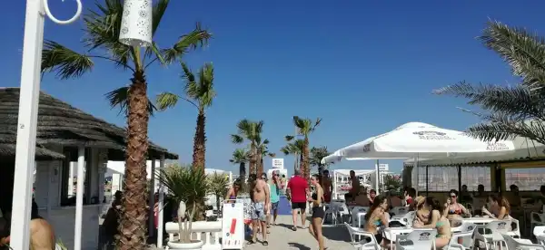 Rosolina