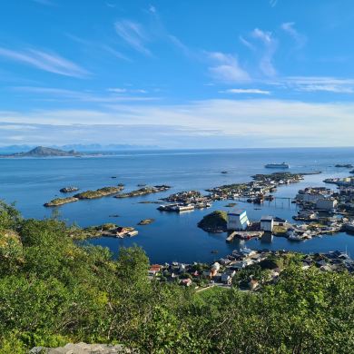 Svolvaergeita