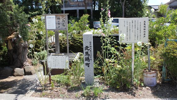 Matsumoto