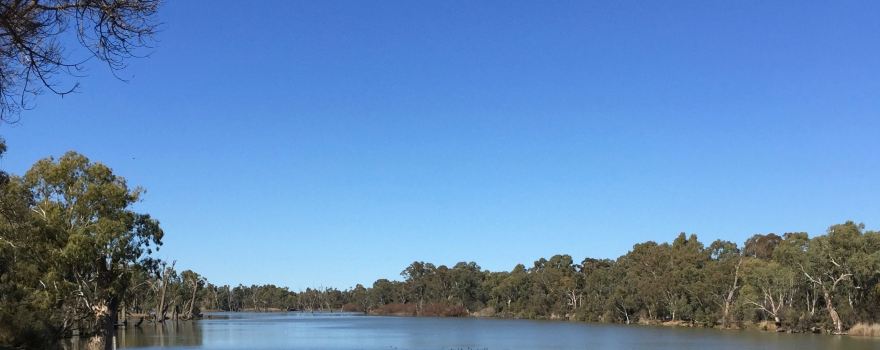 James King Park