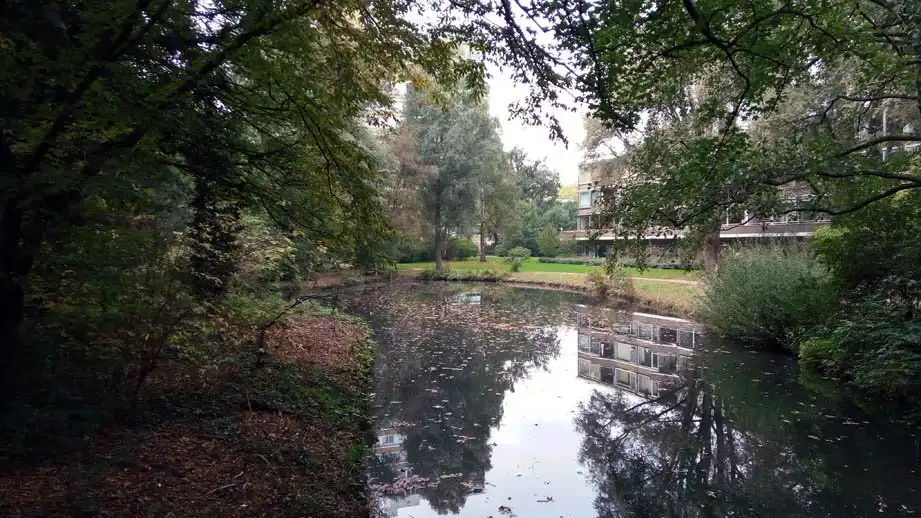 Hotels near Meanderpark