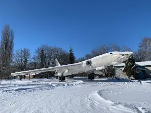 Aviator