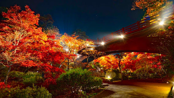Yahiko Park Tunnel