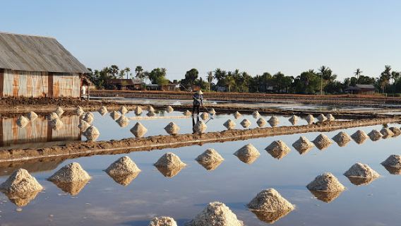 Salt Fields