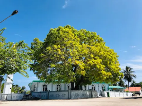 Dhevvadhoo