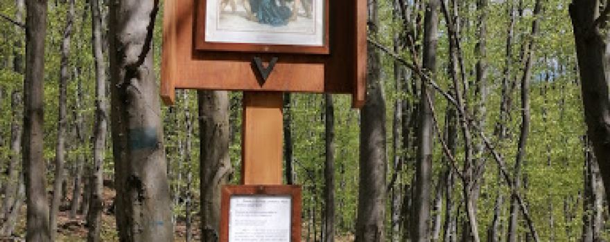 spojnica na MODRÚ