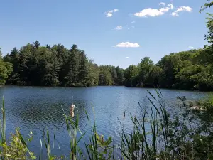 Dietz Recreation Park Inc