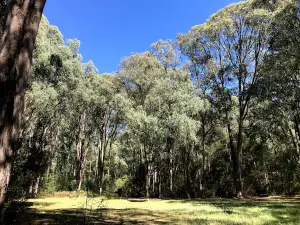 Cooks Mill Campground