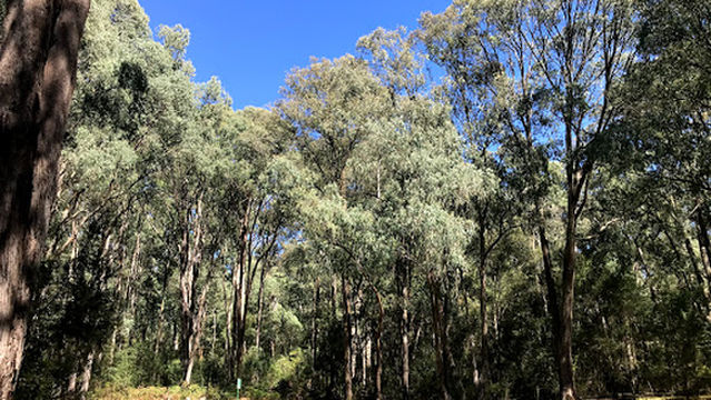 Cooks Mill Campground