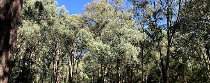 Cooks Mill Campground