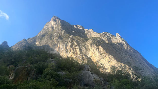 Rock-About Climbing Adventures
