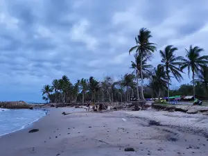 Pantai Arung Parak