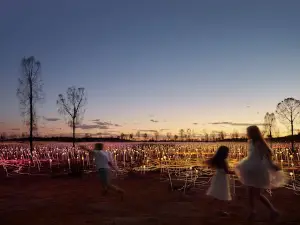 Uluru Tours Australia - Best Ayers Rock Tours