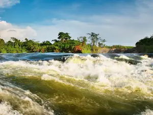 Source of The Nile.