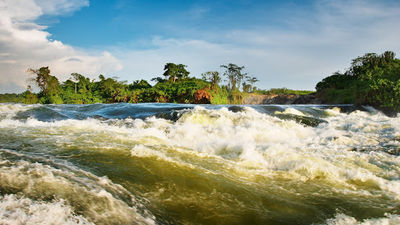 Source of The Nile Boat Tours