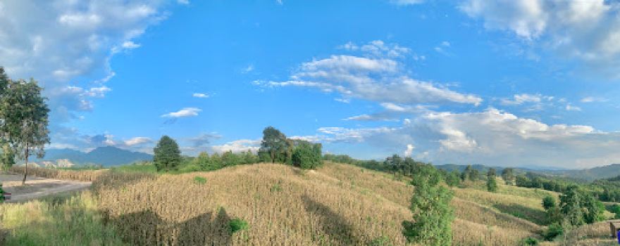 ขุนห้วยตาด - Hills Camping