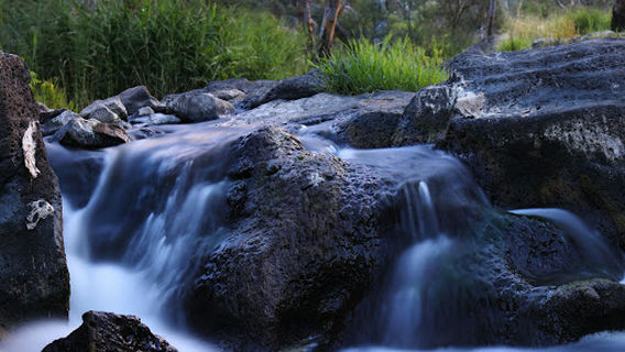Buckley Falls Lookout