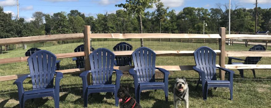 River Run Dog Park