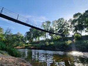 Dituva Monkey Bridge