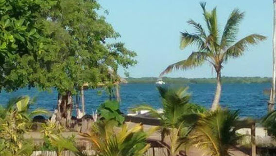 Placencia