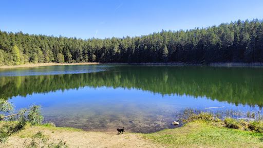 Jezioro Gałęziste