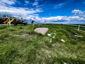 Viking Ribstones